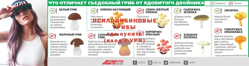 Галлюциногенные грибы мухоморы  где купить наркотик  OMG как зайти  Анива 